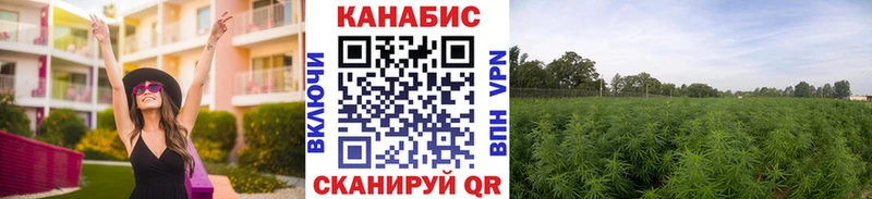 Гашиш Буинск
