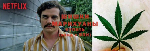 ГАЛЛЮЦИНОГЕННЫЕ ГРИБЫ Бугульма