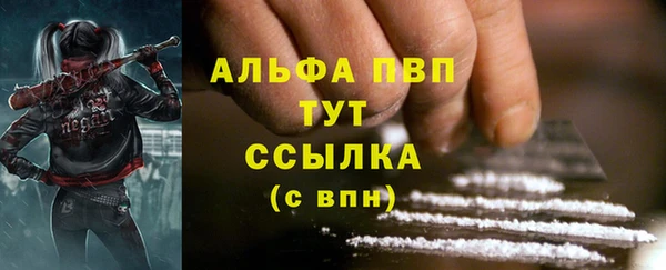 крисы Богданович