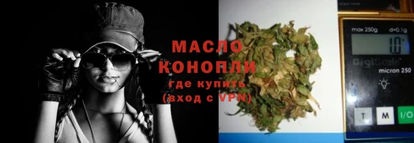 гидра Богородск