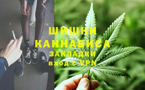 гидра Богородск