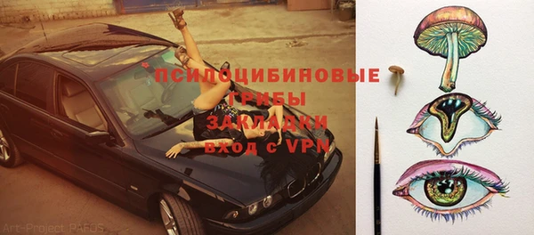 ГАЛЛЮЦИНОГЕННЫЕ ГРИБЫ Бугульма