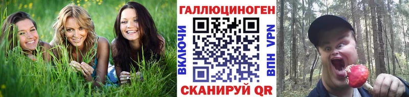 купить наркотик Буинск маркетплейс как зайти Галлюциногенные грибы Psilocybine cubensis